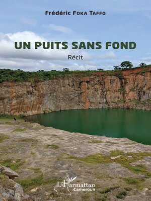 cover image of Un puits sans fond